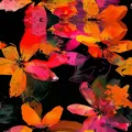 NT_023